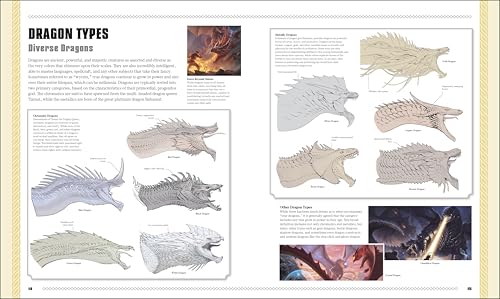 Image of Dungeons & Dragons The Book of Dragons