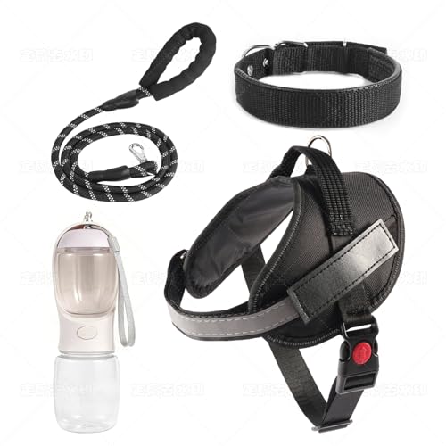 Dog Walking Set 4 in 1