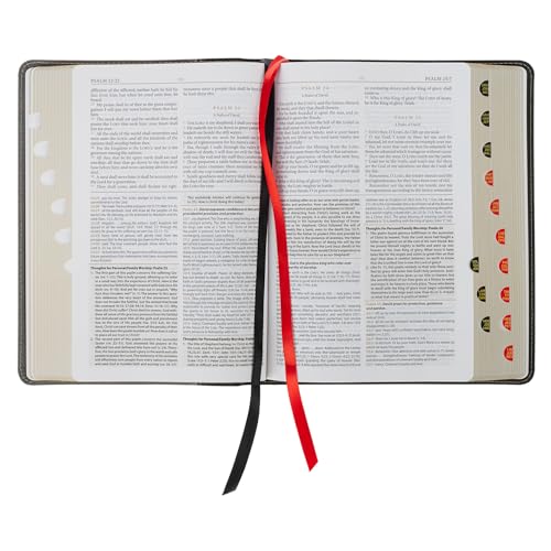 KJV Study Bible, Standard King James Version Holy Bible, Thumb Tabs, Ribbons, Vegan Leather, Gray/Black Two-Tone - image 8