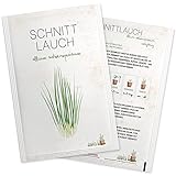 Schnittlauch Samen - Hochwertige Kräuter Samen für ca. 300 Pflanzen im Kräutergarten - Samenfestes Saatgut in Samentütchen für die Anzucht im Kräutertopf Zuhause, auf dem Balkon oder im Garten