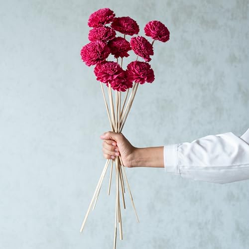 Image of Hot Pink Carnation Sola Flower Sticks (10 sticks) | Natural Dried Flower |Eco-Friendly Flowers for Home,Office,Bedroom,Table Decoration and Craft Items Corner (Without Vase Pot)