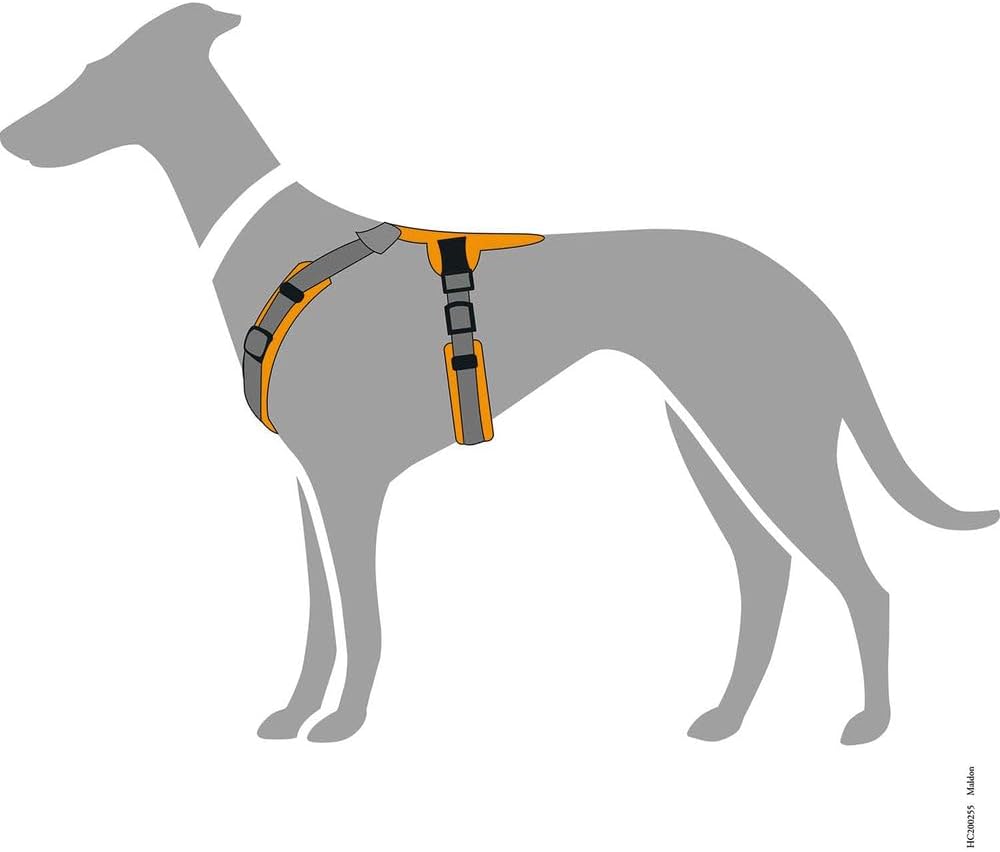 HUNTER Maldon Harness Dark Green/Grey S-M