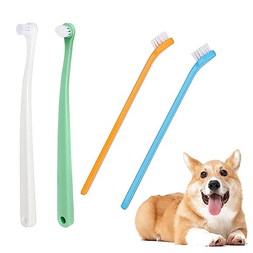 best cat products