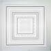 Antyx White (24x24" Pvc) Ceiling Tile