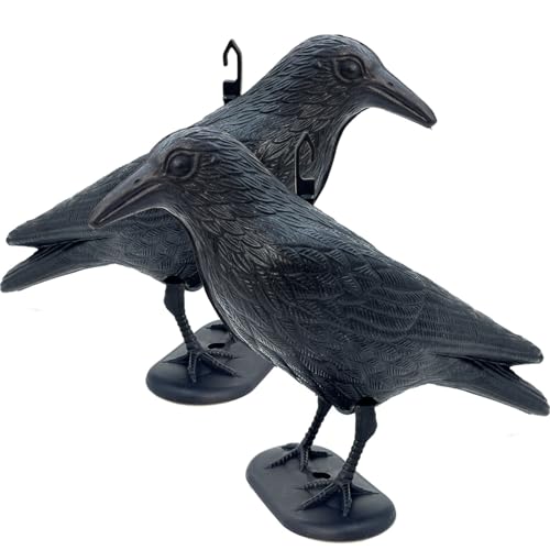 Cfythyab Taubenabwehr Balkon 2er Set Schwarze Raben Attrappe als Vogelschreck Taubenschreck für Balkon und Garten realistische Krähe Vogelabwehr aus Kunststoff