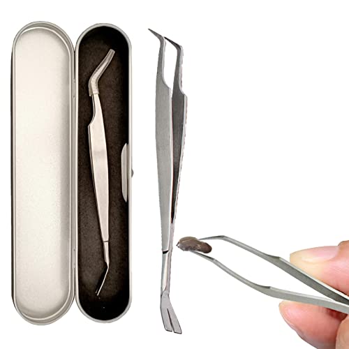 Pinças carrapatos 2 em 1, pinças aço inoxidável 5,5 polegadas, pinças carrapatos e anzóis, ferrament