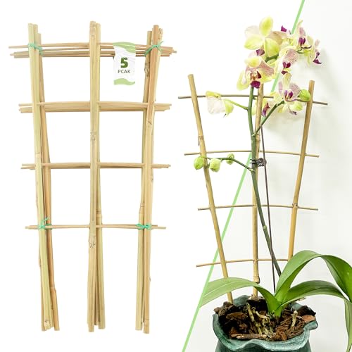 16Inch 5Pack Bamboo Trellis for Climbing Plants Garden Ladder Trellis for Potted Plants Indoor Fan Shaped Small Plant Support Trellis for HousePlants Ivy Vine Monstera 3-4