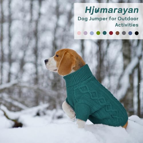Hjumarayan Hundepullover Kleine Hunde - Schlicht & Elegant Hunde Pullover, Warm Hundepullover mit Geschirrloch, Schöner Hundepulli mit Beinen Hund Pullis für Chihuahua (Pfauengrün XS)