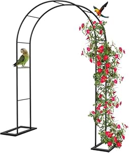 Generic C4I6MJGA92KGG Schwarzer Rosenbogen Kletterhilfe