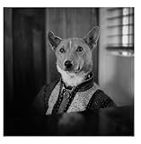 The Isle of Dogs