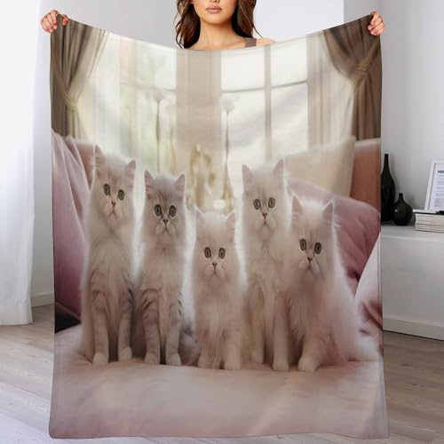 Couverture chat douce flannel pour sieste sur canapé douillet