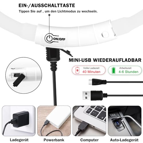 Nepfaivy Leuchthalsband Hund USB Aufladbar - Wasserdichtes Hundehalsband Leuchtend mit Verstellbarer Länge, LED Halsband für Hunde mit 3 Beleuchtungsmodi für Sicherheit, Mehrfarbig