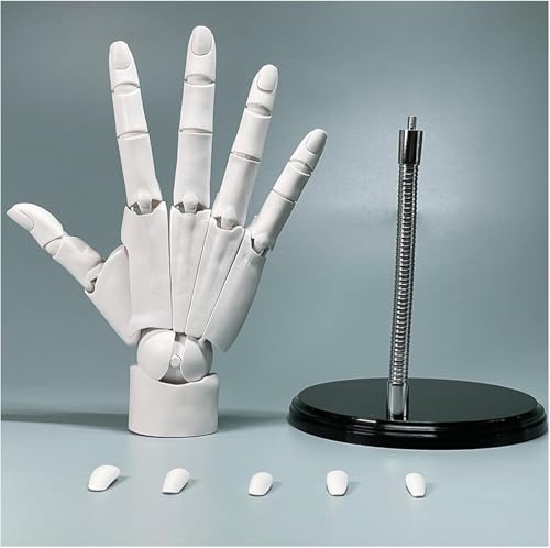 Main articulée main droite flexible 1:1 pour anatomie et robotique