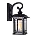 CWI Lighting 0411W8-1-101 Blackburn - 13 Inch 1 Light Outdoor Wall Lantern, Black Finish with Water Glass