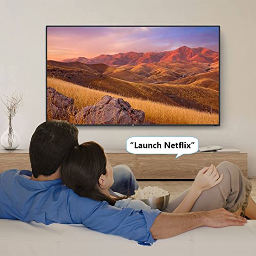Télécommande BN59-01312A Samsung pour remplacer votre boîtier perdu - 6