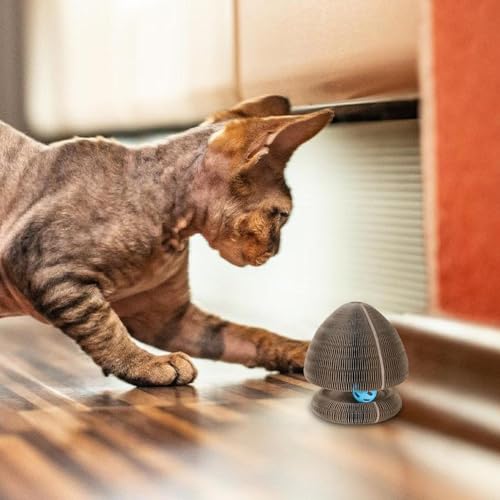 Orgue pour chat rétractable pour amuser votre animal dans le salon - 3