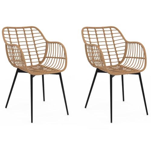 IDMarket - Lot de 2 chaises de Salle à Manger, fauteuils de Table Summer Effet rotin Pied métal Noir