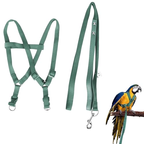 Felenny Arnés Y Correa para Pájaros Correa Ajustable para Pájaros Accesorios Esenciales Vuelo Al Aire Libre Anti-Mordida Adecuado para Guacamayo Escarlata Sol Conure Cockatiel Parrot
