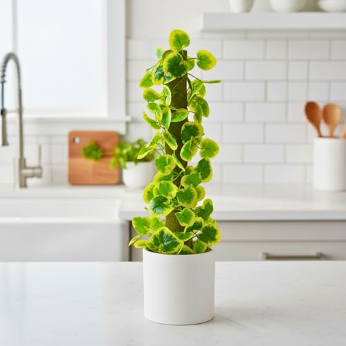 Image of fancymart Artificial Leaves Vine on Moss Stick 60 cm (Without Pot) | Decorative Indoor Plant for Home, Office, Cafe & Restaurant