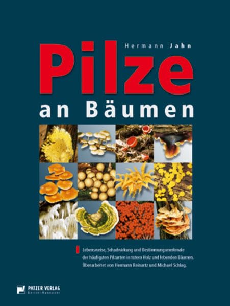 Pilze an Bäumen: Saprophyten und Parasiten, die an Holz wachsen