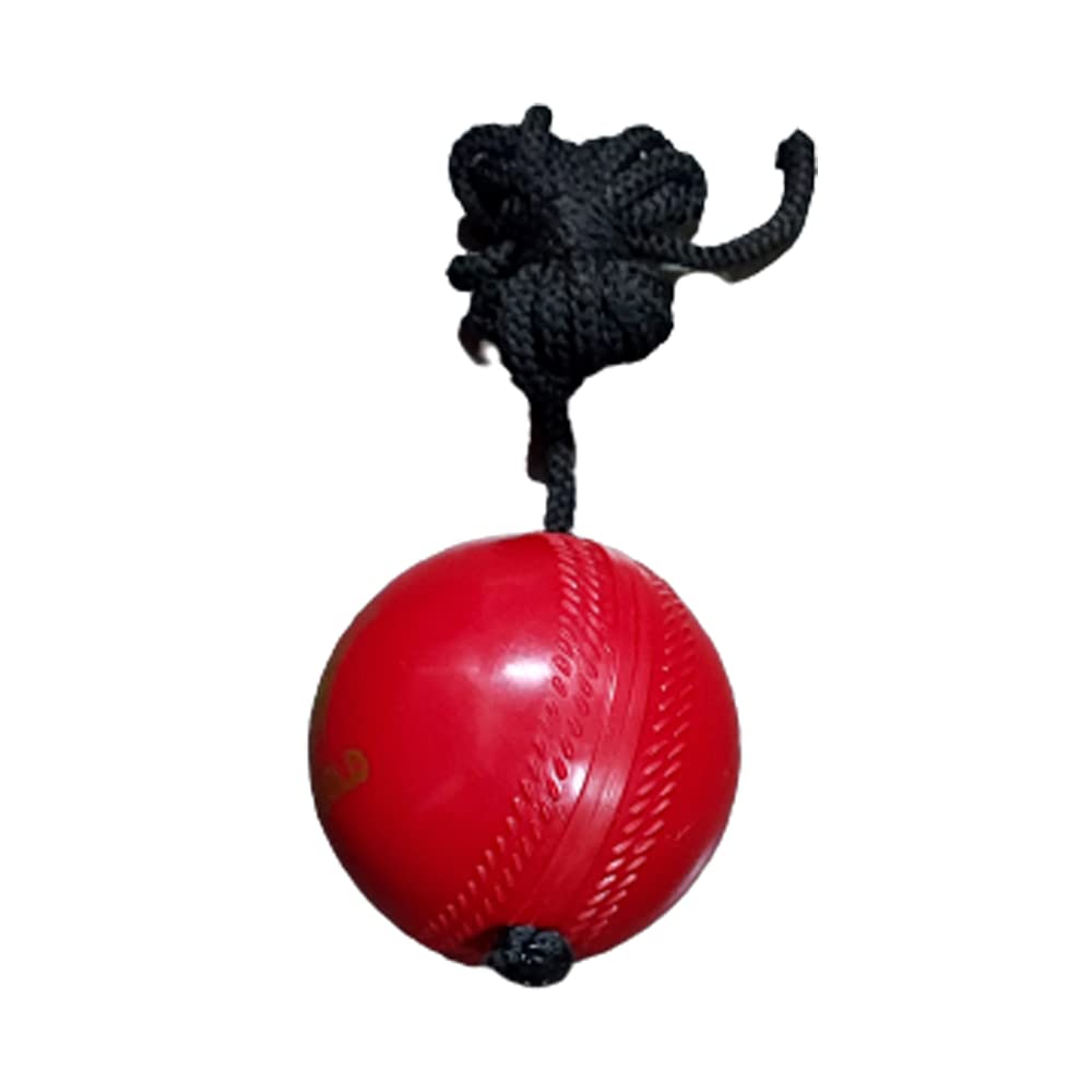 SL Gold Cricket Practice Synthetic Hanging Ball for Knocking Stroke Improves Batting Skills (B09CMTLQ75) Amazon Price History, Amazon Price Tracker