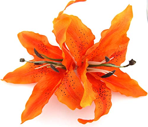 Tiger Lily Hair Clip Image