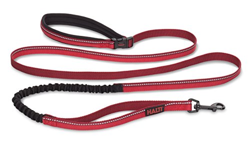 Image of HALTI Active Leash - Award-Winning Bungee Dog Leash, Shock-Absorbing, All-in-One Neoprene Padded Belt & Lead, Perfect for Running & Training with Medium & Large Dogs (Size Large, Red) | Award-Winning Bungee Dog Leash | Shock-Absorbing Anti-Pull Leash | Padded Belt | Running & Training Medium & Large Dogs