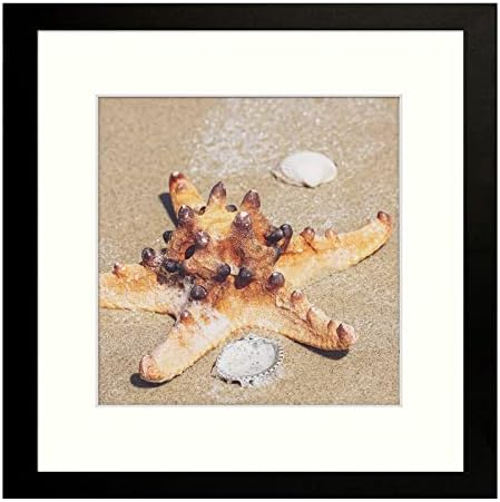 Golden State Art, 12x12 Frame with Mat, Displays 8x8 Square Picture or 12x12 Gallery Wall Frame for 30x30 cm Diamond Paintings Prints Photos (Black, 1-Pack, Plexiglass)