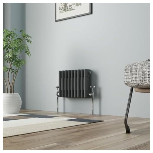 NRG - Radiador de baño (hierro fundido, 300 mm), color gris