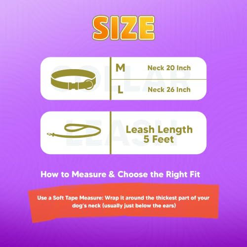 Image of Adil's Biothane Waterproof Dog Collar, Dog Leash & Collar Leash Combo | Heavy Duty TPU Coated Webbing | Adjustable Quick Release Buckle | Odour Resistant (Lemon Green, M-18, Collar & Leash Combo)