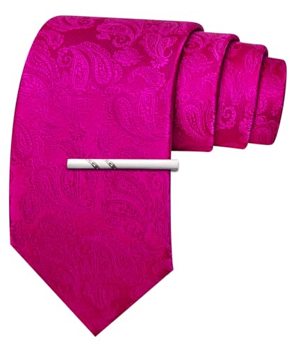 Image of Barry.Wang Paisley Tie for Men Silk Woven Necktie and Tie Clip Set Wedding Party Business Formal
