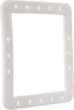SPX1091G Butterfly Gasket Replacement for Hayward Skimmer Gasket