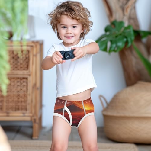 GuoChe Toddler Underwear Boys Cotton Red Lily Sunset Landscape in Sizes 2T,3T, 4T, 5T, 6Y and 8Y 6