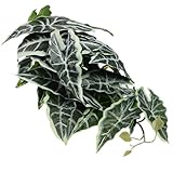 POPETPOP 爬虫類用人工植物レプルボックス対応 テラリウム装飾 自然模倣シミュレーション葉 ベース付き設置簡単 爬虫類隠れ家ストレス緩和