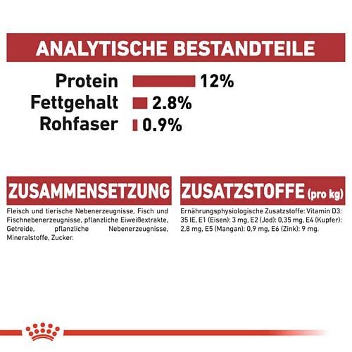 Royal Canin Instinctive Gravy | Doppelpack | 2 x 12 x 85 g | Nassfutter für ausgewachsene Katzen | Kleine Stückchen in Soße | Zur Unterstützung eines gesundes Lebensstils