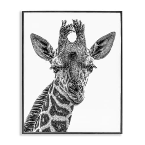 'Giraffe Gazing Wildlife Portrait'| Framed Giclee Art
