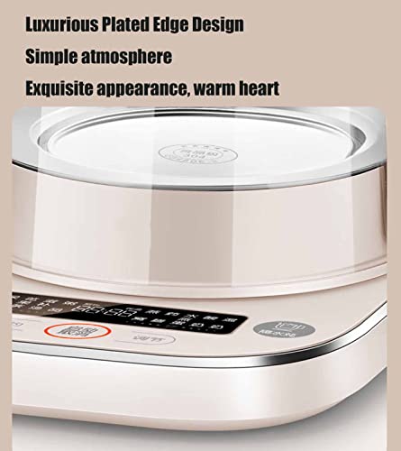 Hervidor eléctrico de vidrio 1.5L con control de temperatura miniatura 4