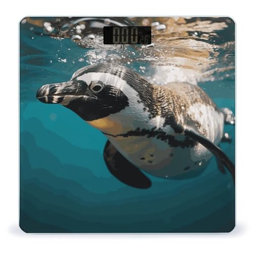 Báscula Digital para Baño de Vidrio Templado 10.2 pulg miniatura 1