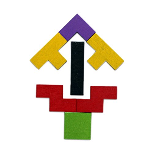 Image of Tetris Puzzle for Kids,Wooden Russian Blocks, Wood Intelligence Puzzle, Brain Teasers Games, Tangram Jigsaw Intelligence Puzzle Educational Gift for Kids,Building Blocks 40pcs, Ages 3-8 Years.