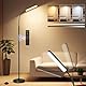 HANDSONIC LED Stehlampe Dimmbar 18W 1650LM Schwarz,Standleuchte Wohnzimmer mit 360° Schwanenhals & Unendlich Dimmer (3000K-6500K),Leselampe Fernbedienung (Retro)