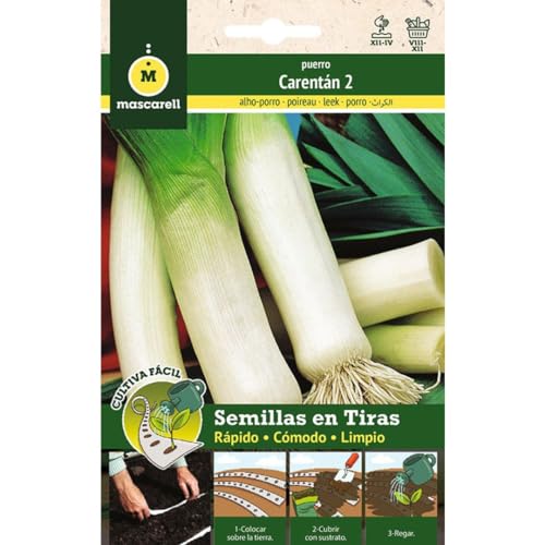 Mascarell Semillas, PUERRO VERDE CARENTAN, Cultiva Fácil, Crea tu Propio Huerto en Casa, Tira 5 Metros
