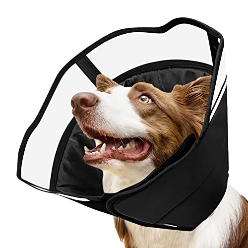 List of Top Ten Best Cone For Dogs Top Picks 2023 Reviews
