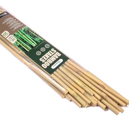 Cambaverd Bamboo Stakes for Plants Natural Bamboo Plants Stakes 5 Feet Garden Stakes for Climbing Plants Tomatoes Beans Potted Plants - 20Pcs Bamboo Poles (58in Approx 5FT)