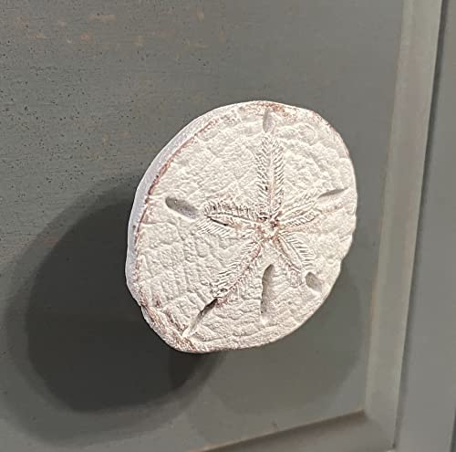 Top Brass Realistic Large Sand Dollar Drawer Pulls/Cabinet Knobs (4 Knob Set) - Screws Included - Beach Ocean Sea Shell Coastal Nautical Decor - Image 6