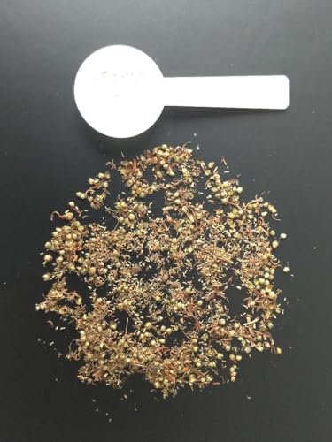 �X�C�[�g�A�j�[ sweet annie�p���N�\�j���W���a����