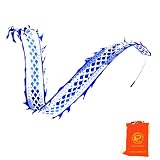 DSJUGGLING 2 Meters (6.5 FT) Blue Dragon Silk-Like Flowy Ribbon Poi, Outdoor Flinging Fitness Dance Blue Celadon Ribbon Streamer with 40-60cm Adjustable Fiberglass Handstick and Carry Bag