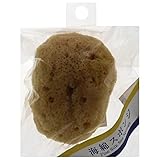 海綿スポンジ S