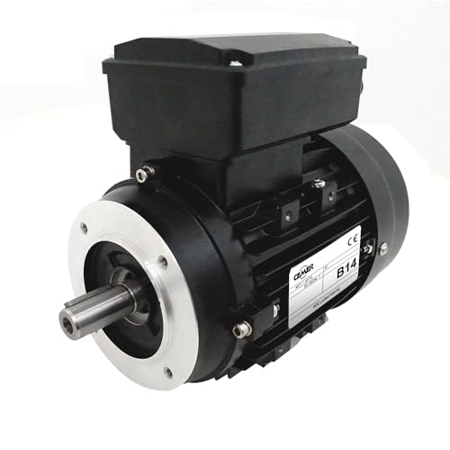 Moteur électrique 0,37 Kw 3000 Tr/min pour l'équipement de votre atelier de bricolage