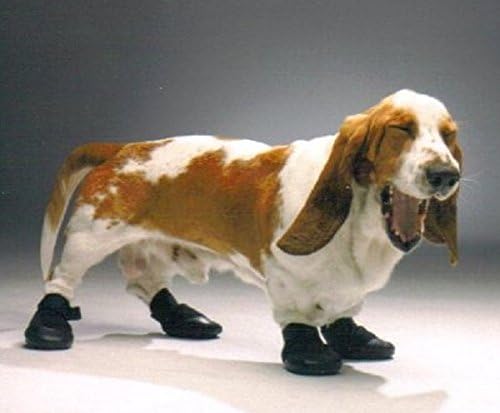 Walkabout ナックリング防止用 ウォーカーブーツ Xl 大型犬用 足を引きずる うまく歩けない愛犬に 足の甲保護 足保護ブーツ ペット介護 伸縮性 防水性 Walkabout ブーツ プロテクター 通販 Amazon