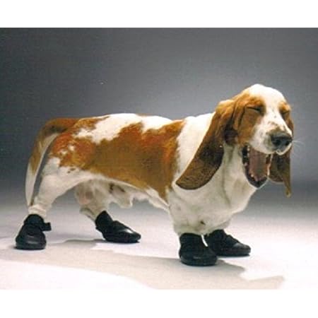 Amazon Walkabout ナックリング防止用 ウォーカーブーツ M 中型犬用 足を引きずる うまく歩けない愛犬に 足の甲保護 足保護ブーツ ペット介護 伸縮性 防水性 Walkabout ブーツ プロテクター 通販 Amazon Walkabout ナックリング防止用 ウォーカーブーツ M 中型犬用 足を引きずる うまく歩けない愛犬に 足の甲保護 足保護ブーツ ペット介護 伸縮性 防水性 Walkabout ブーツ プロテクター 通販